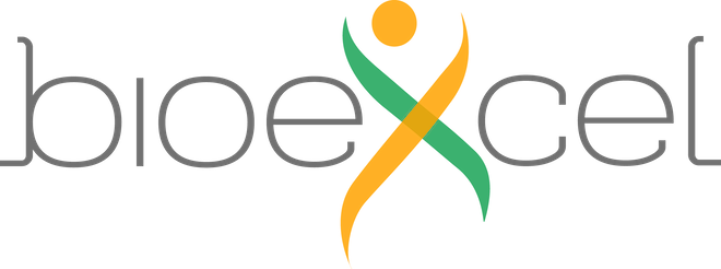 bioexcel3 logo