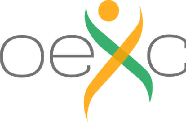 bioexcel3 logo